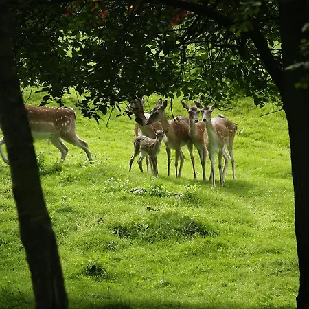 Rold Storkro 4* Skorping