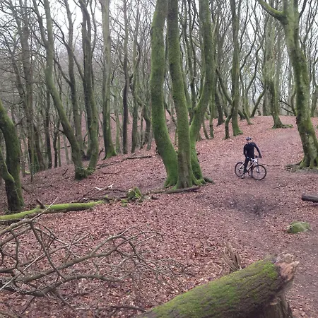 Rold Storkro Värdshus 4*