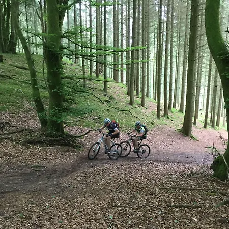 宾馆 Rold Storkro 斯科平