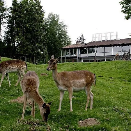 Rold Storkro 斯科平