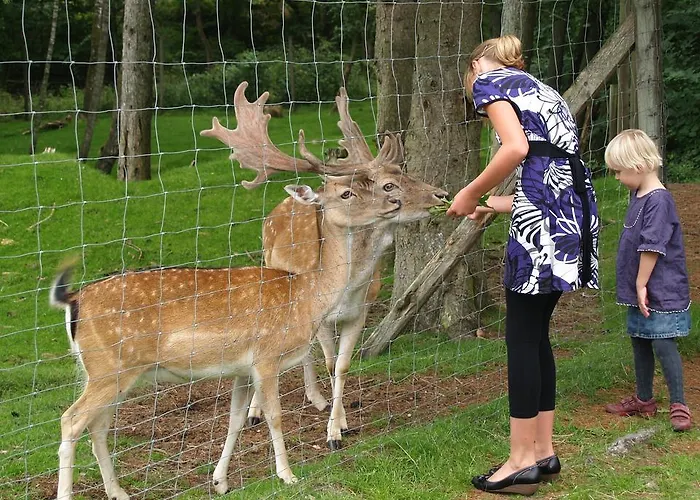 Rold Storkro Fogadó