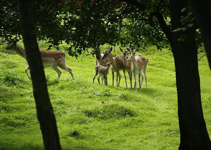 Rold Storkro 4* Skorping