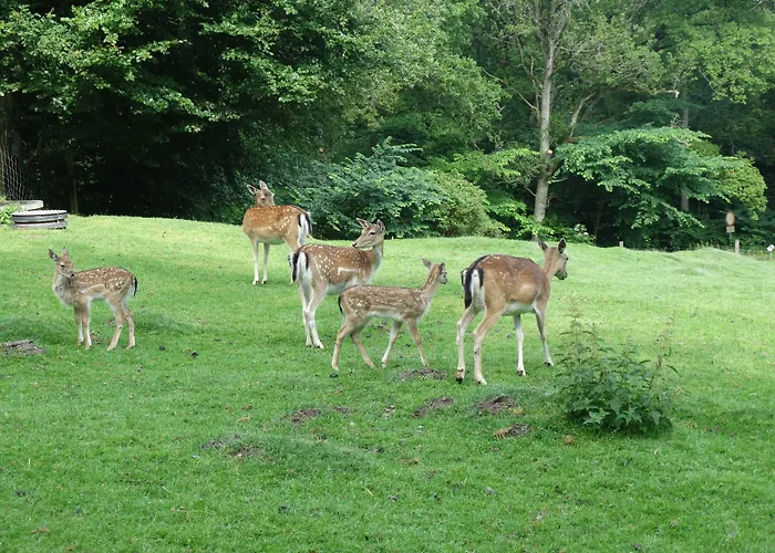 Fogadó Rold Storkro 4*