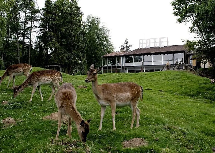 Rold Storkro Skorping